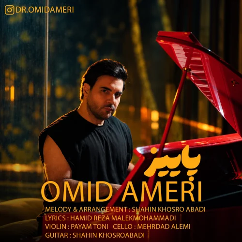 Paeez Omid Ameri